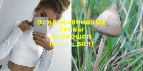стаф Абаза