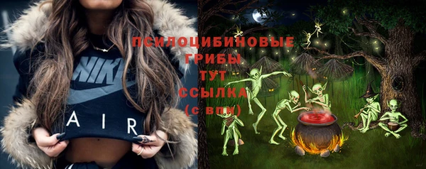 ГАЛЛЮЦИНОГЕННЫЕ ГРИБЫ Абдулино
