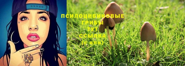 ГАЛЛЮЦИНОГЕННЫЕ ГРИБЫ Абдулино