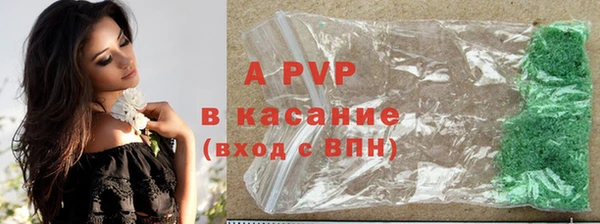 стаф Абаза