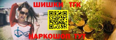 шишки Лесной