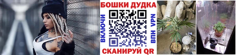 как найти наркотики  Советский  Шишки марихуана Amnesia 